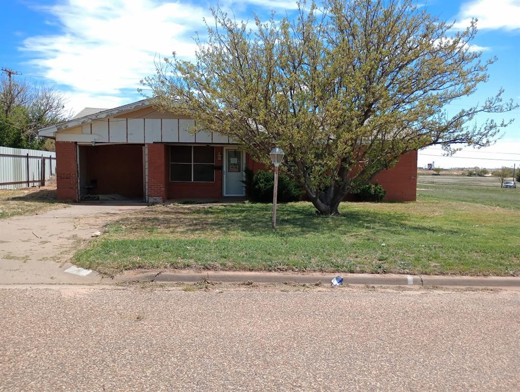 a front view of house with yard and tree