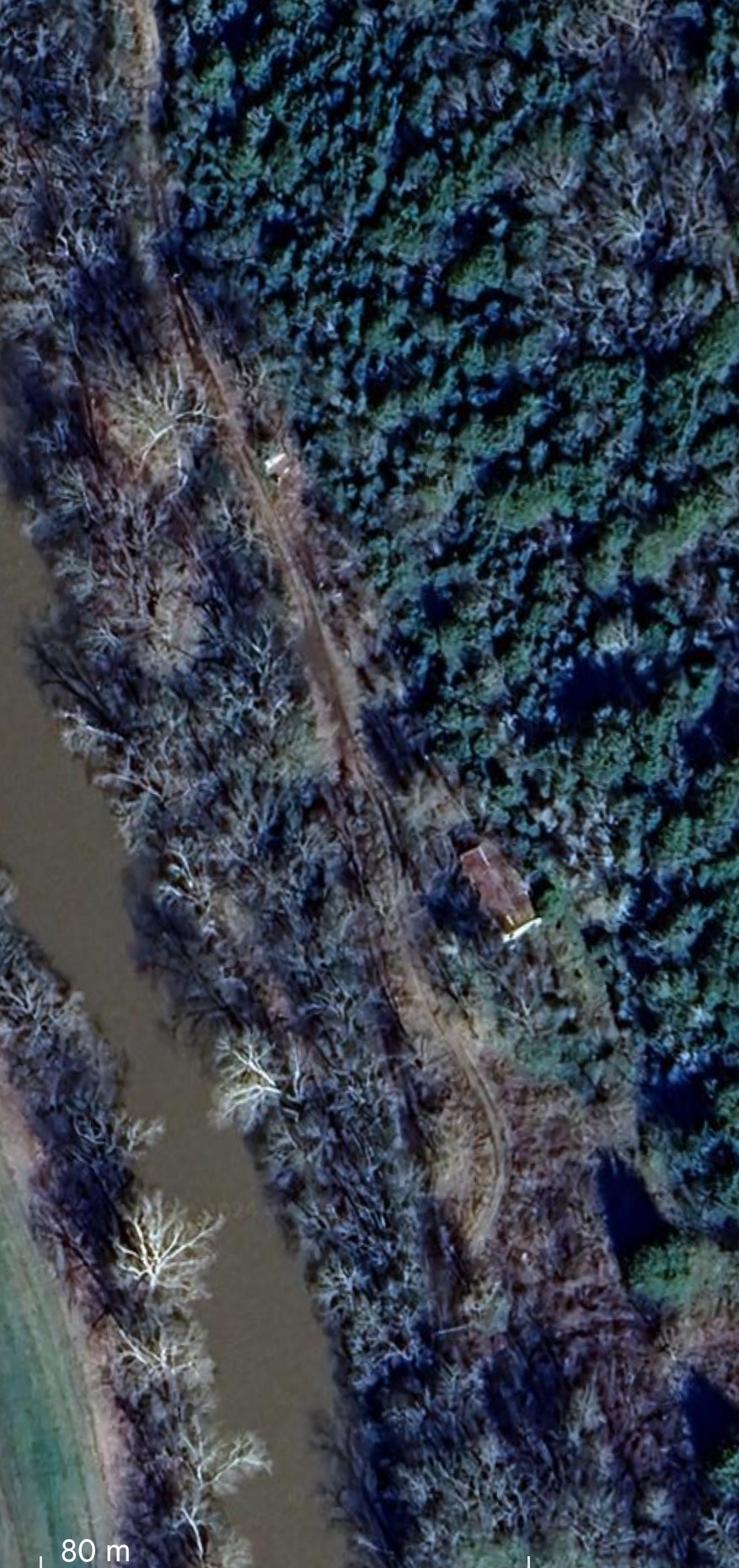 a view of a lake from a forest