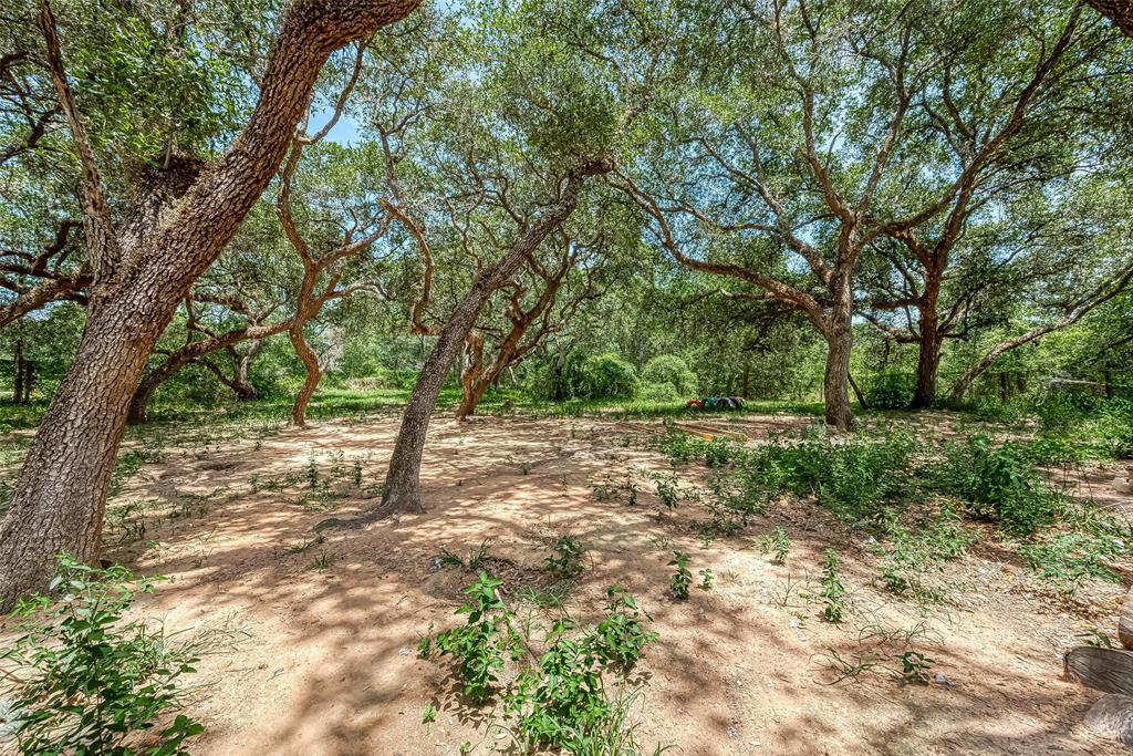 a view of backyard with green space