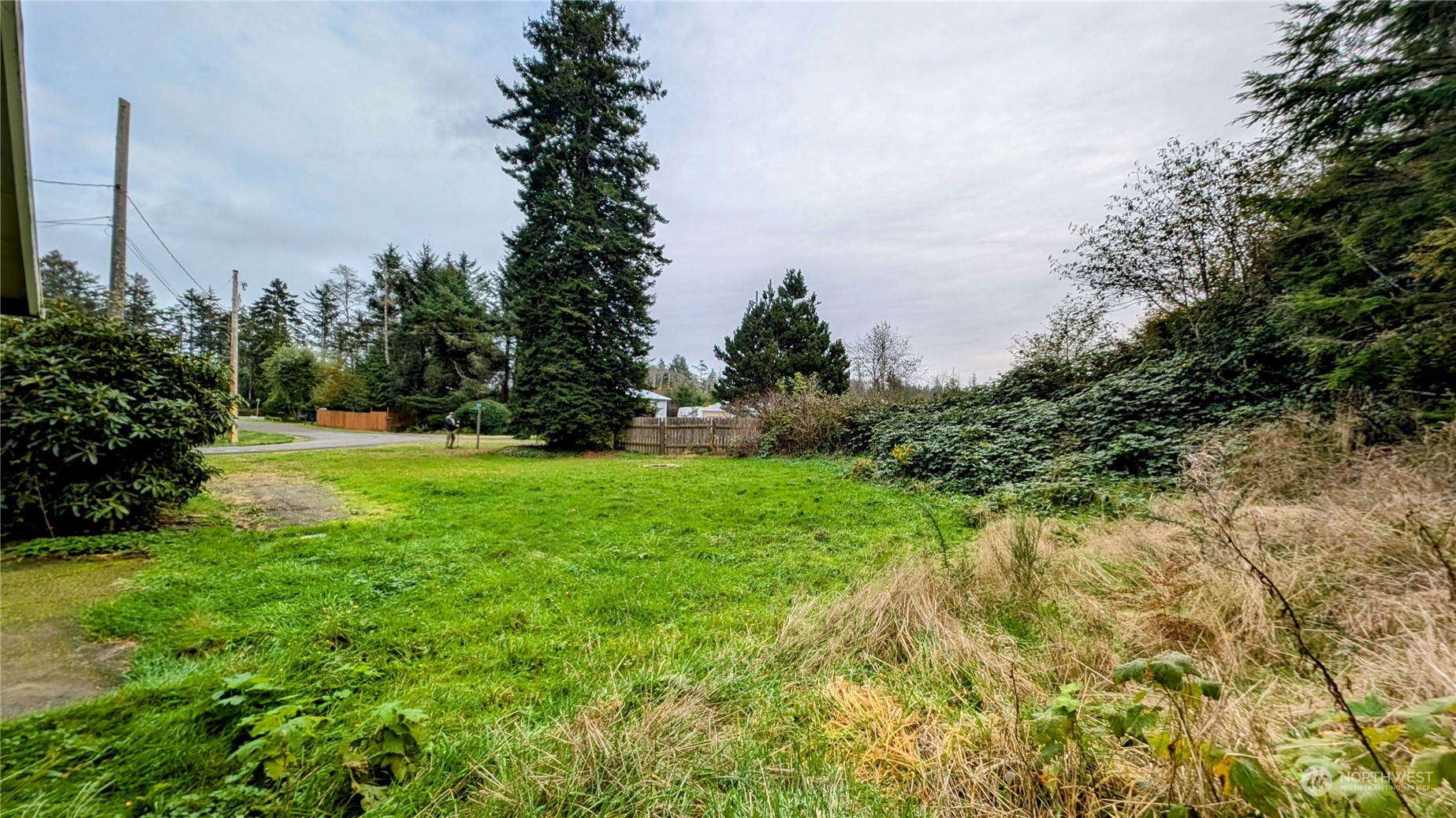 a view of green field with trees in the background