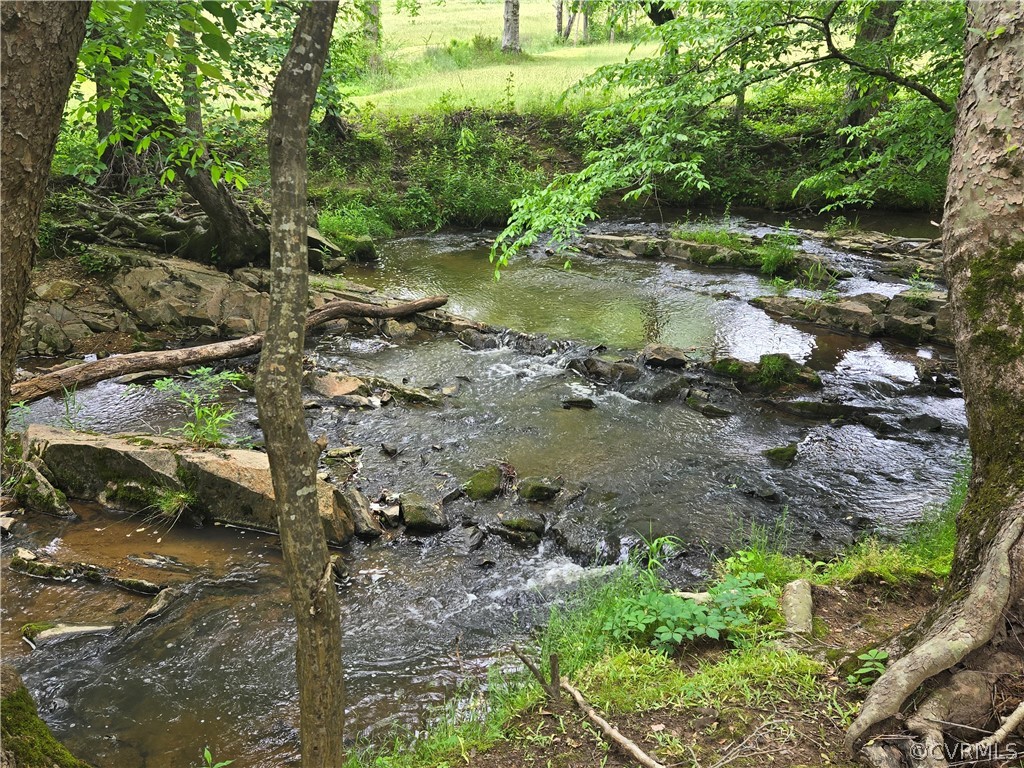 a view of a lush green forest with lots of trees