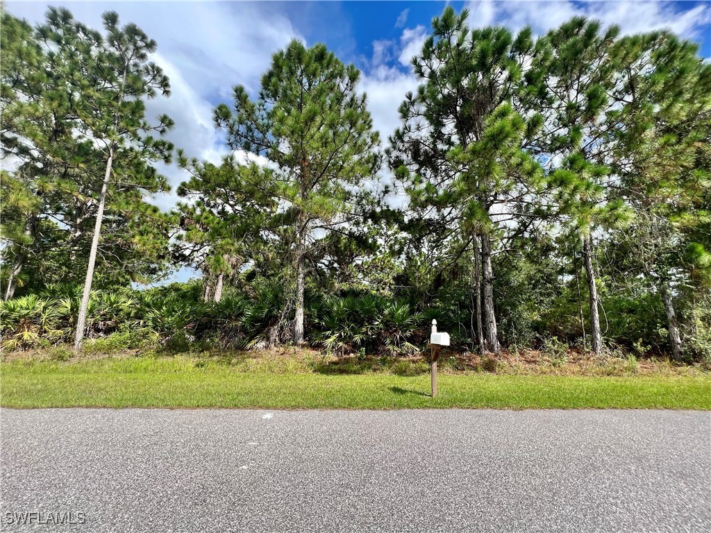 a view of a park with large trees