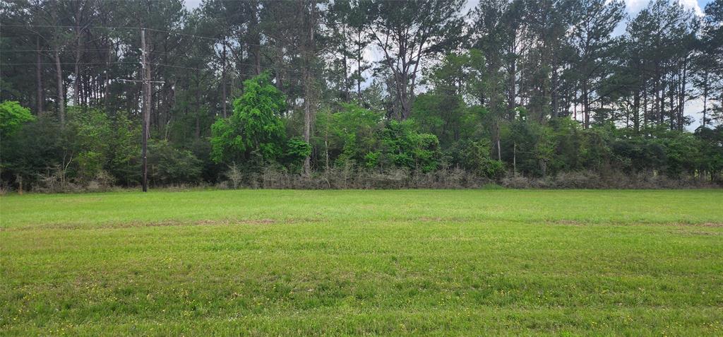 a view of a field of grass and trees