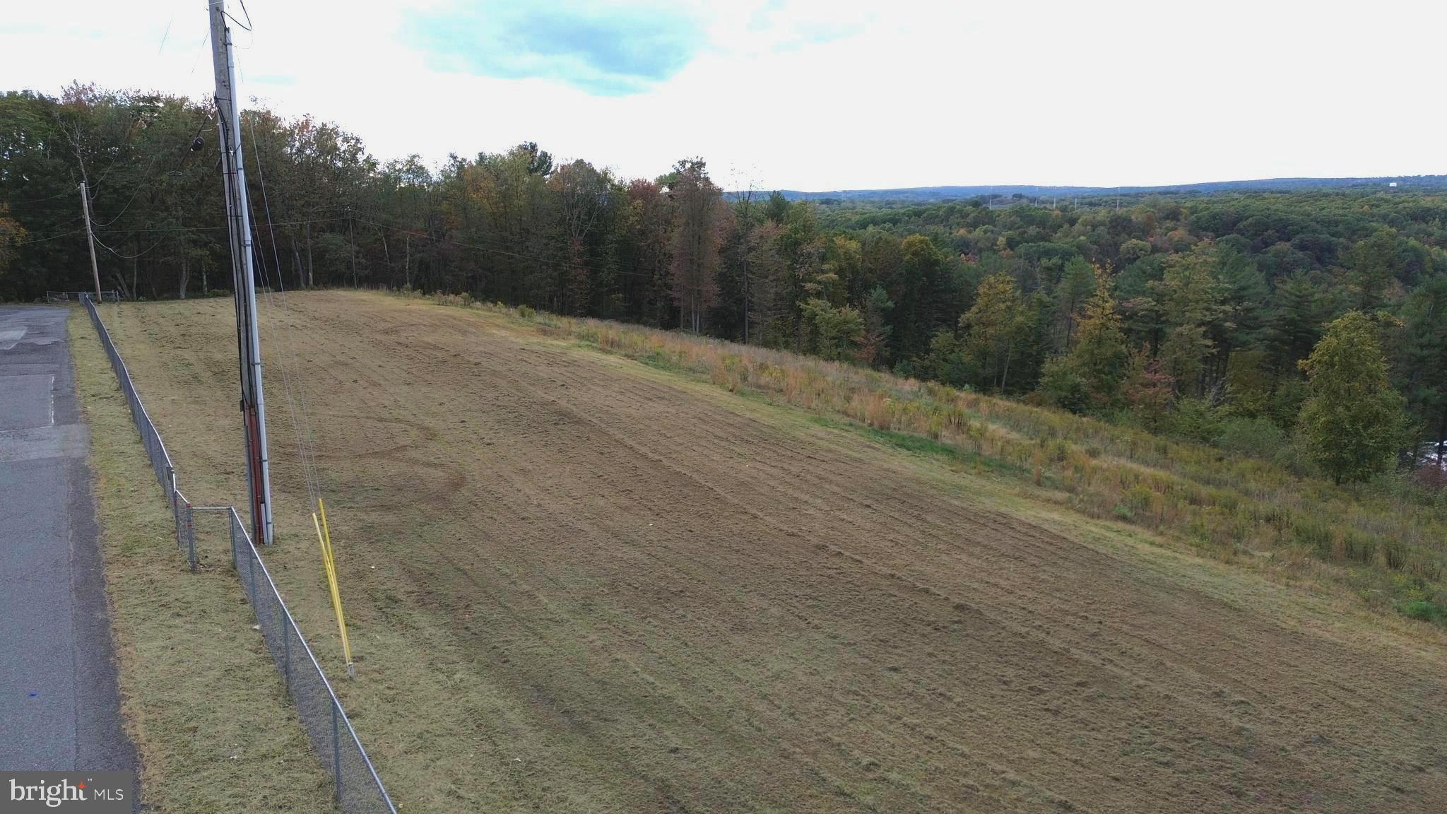 a view of a dry yard