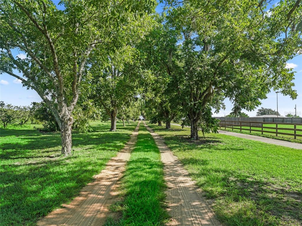 a huge green field with lots of trees