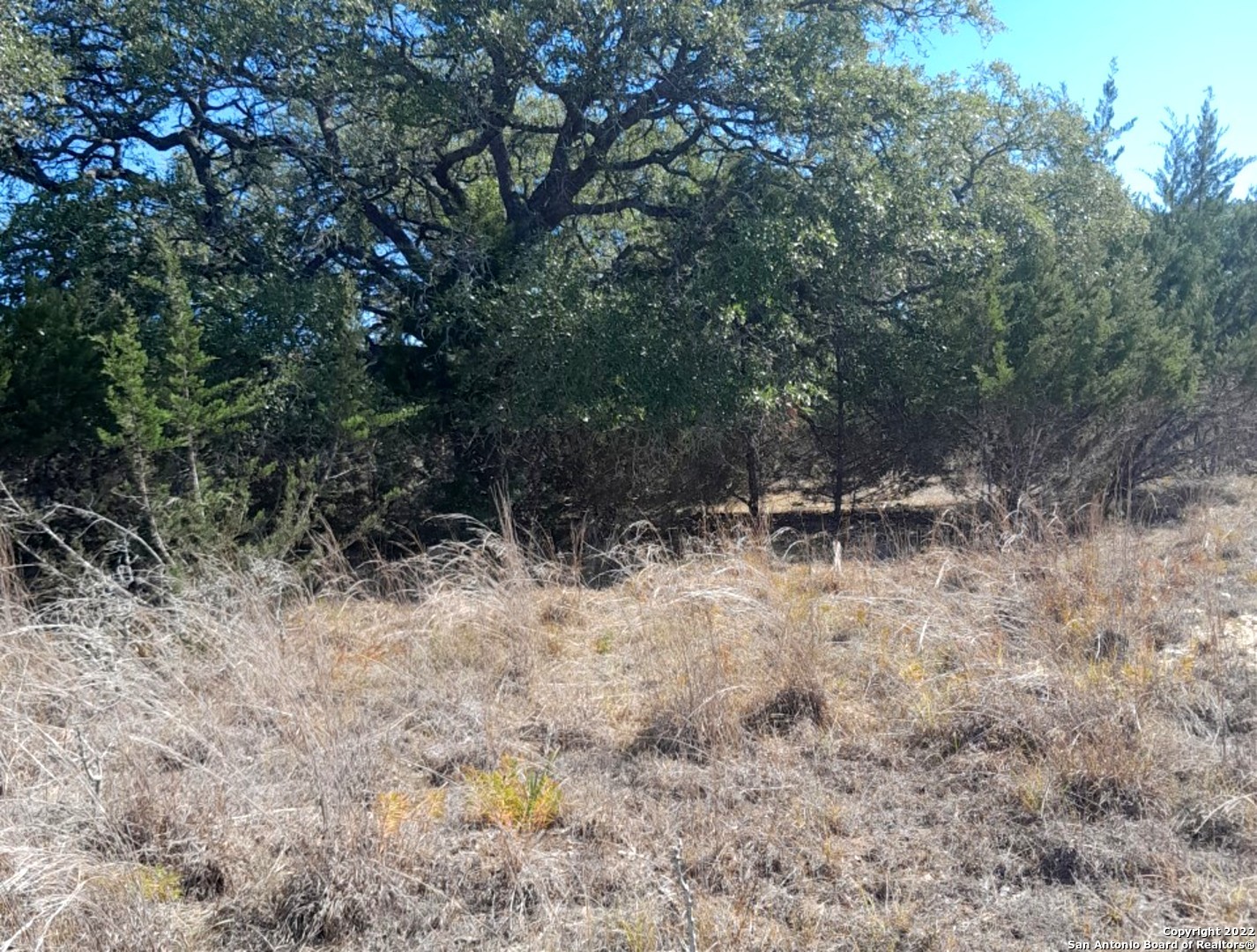 a view of outdoor space