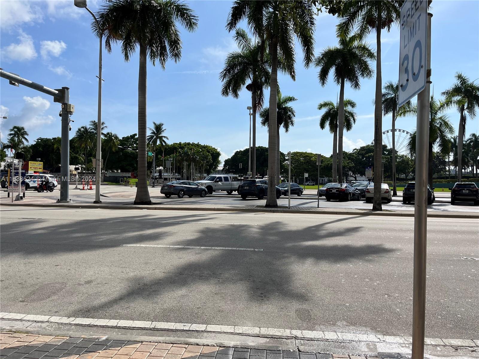 a row of palm trees and palm trees on a sidewalk