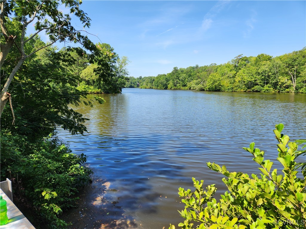 a view of a lake with a garden