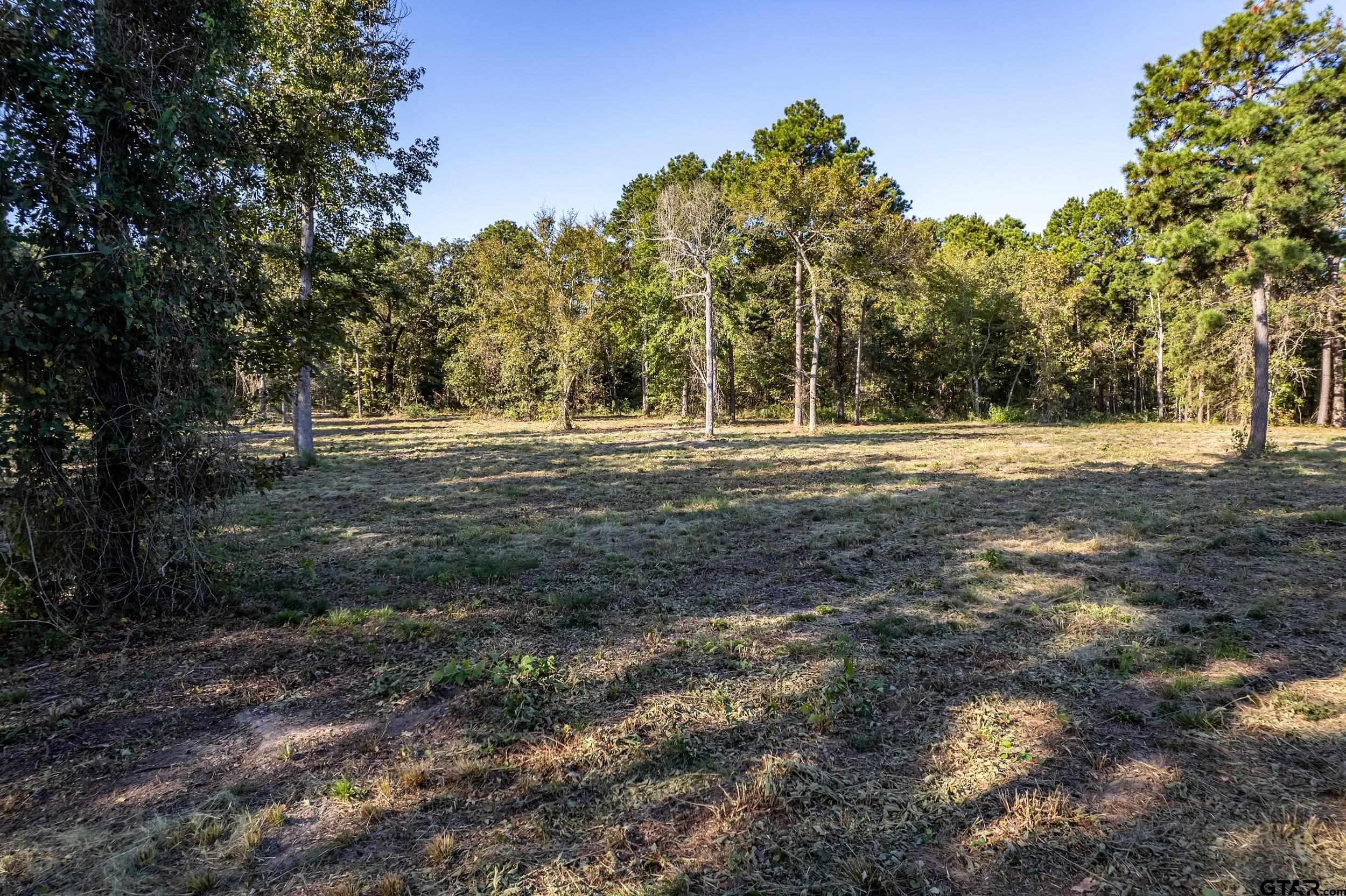 a view of a yard with large trees