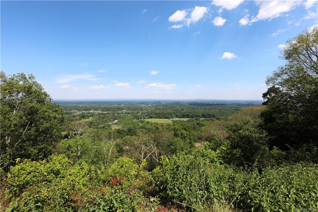 a view of a city and lush green forest