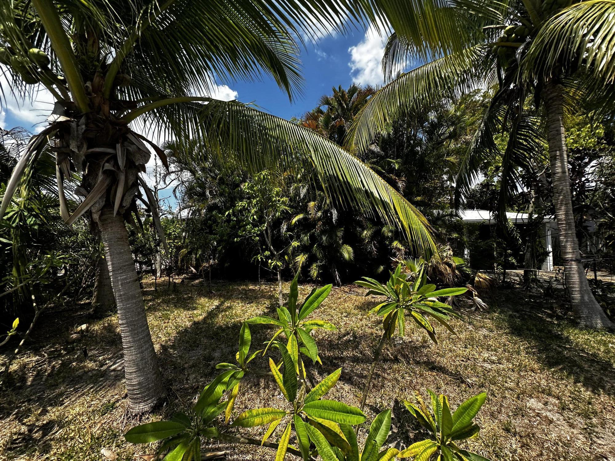 a view of a garden