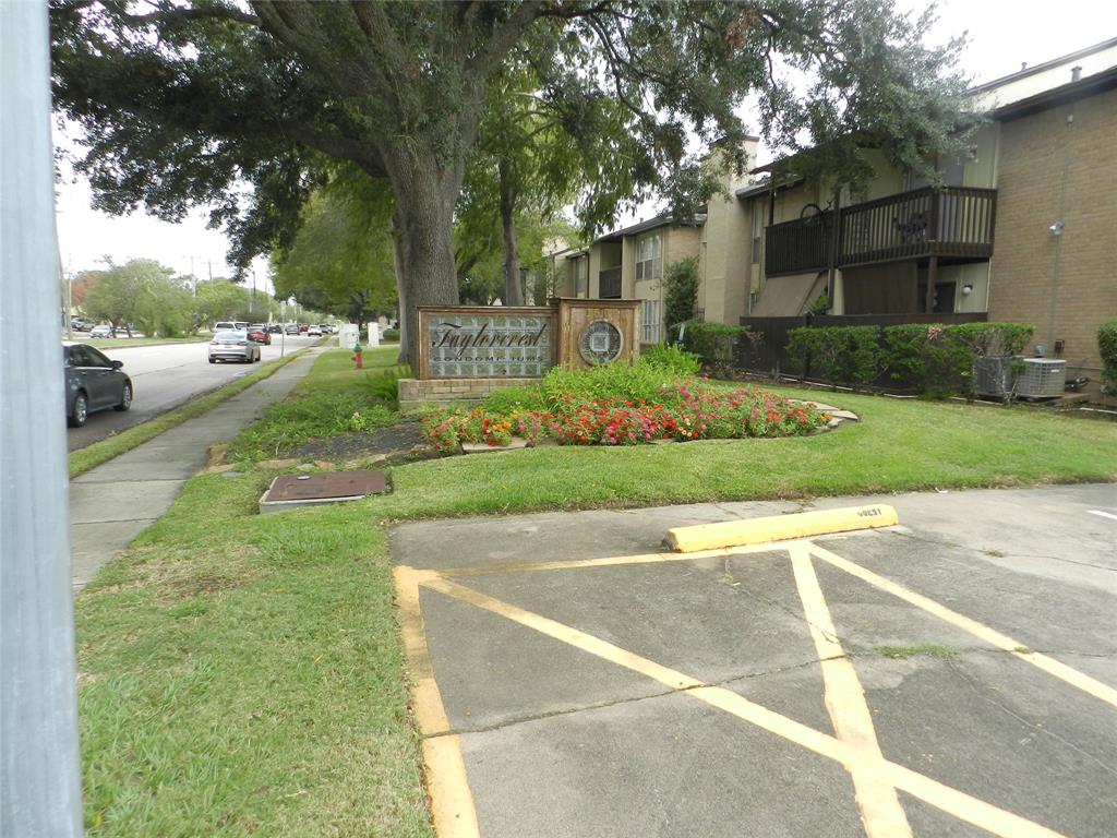 a view of a park that has large trees