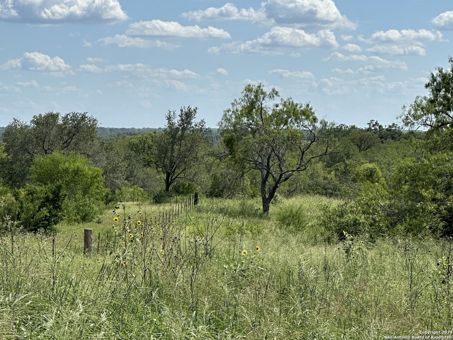 a view of a lush green space