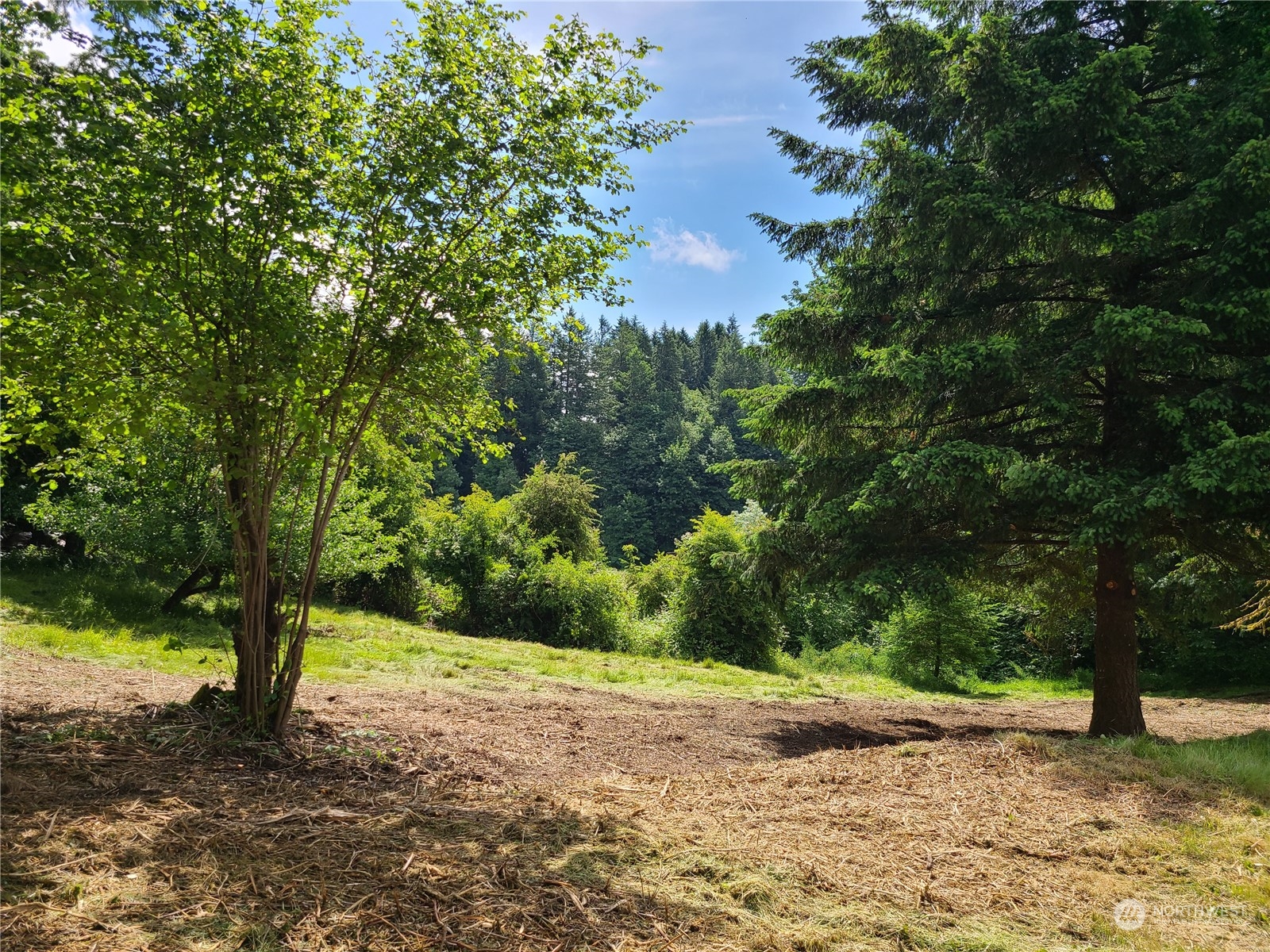 a pathway of a yard