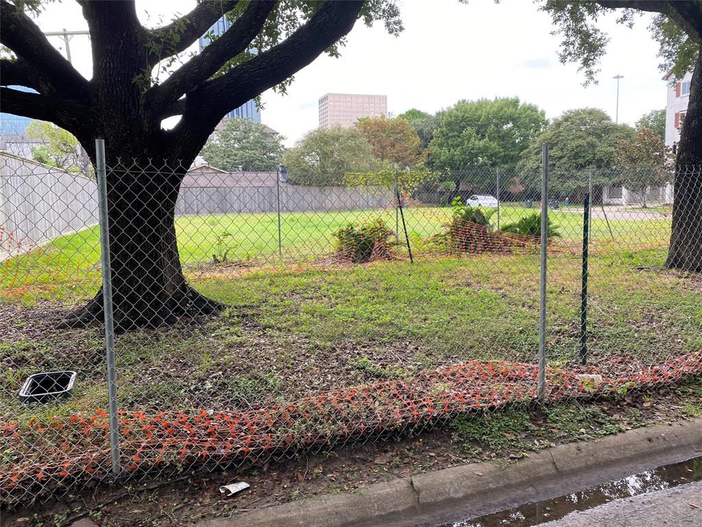 a view of a garden with a tree