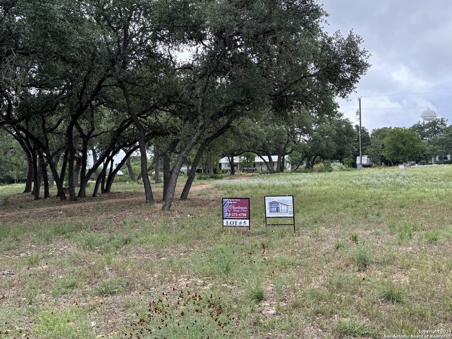 a view of a trees in a yard