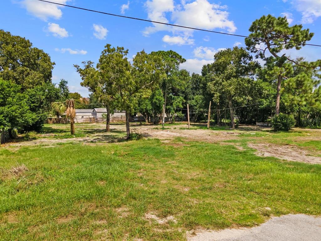 a view of outdoor space with garden and trees