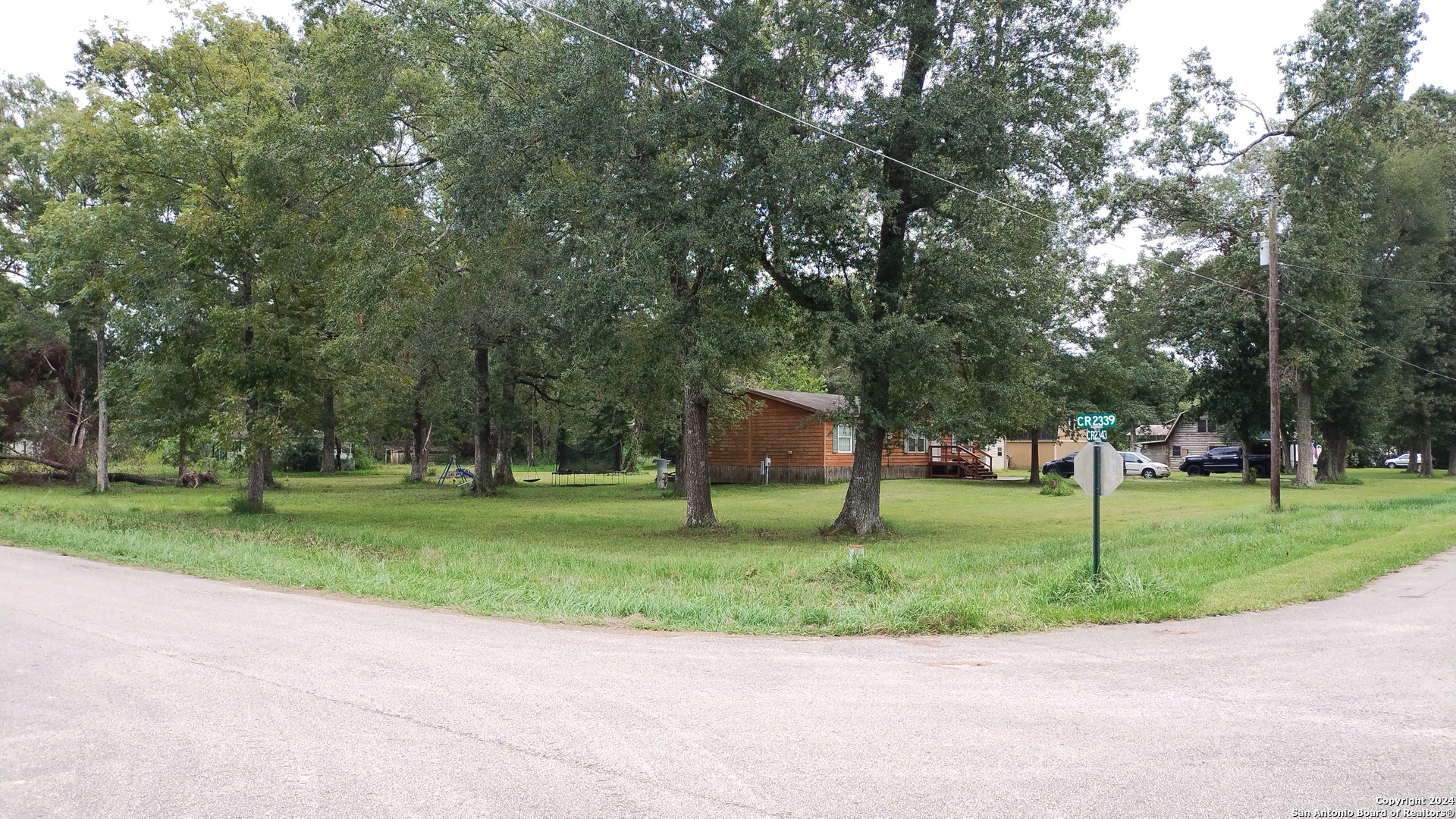 a view of a park with large trees