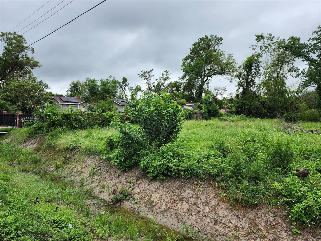 a view of a yard with plants and a trees