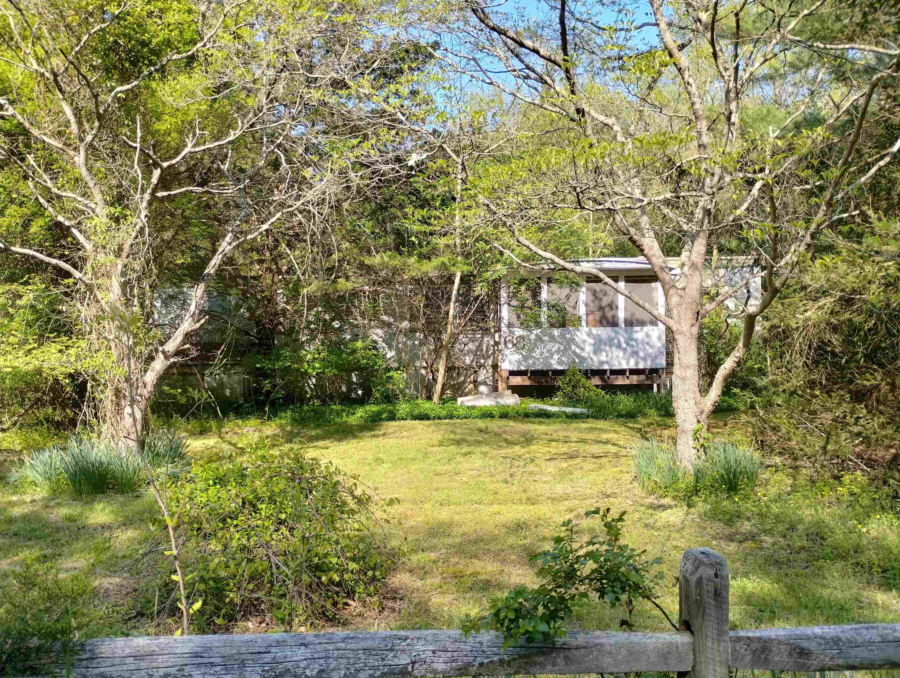 a view of a yard with an trees