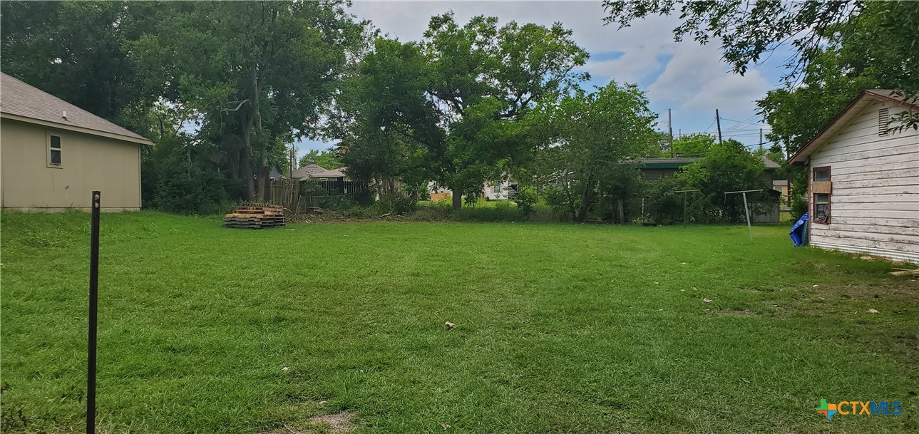 a view of a backyard with large trees