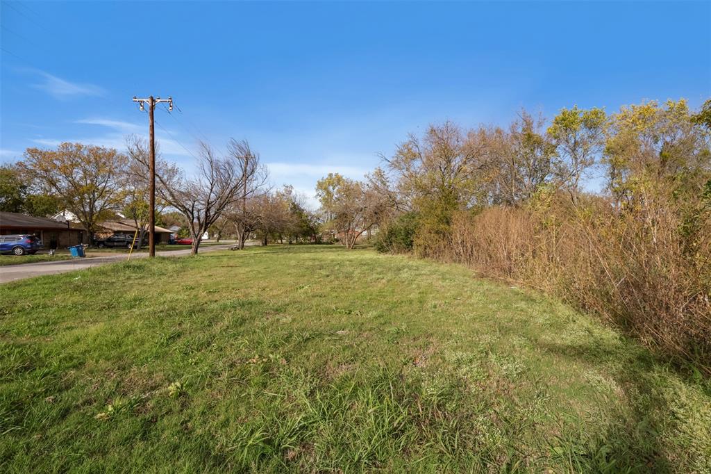 a view of a field with a tree in the background