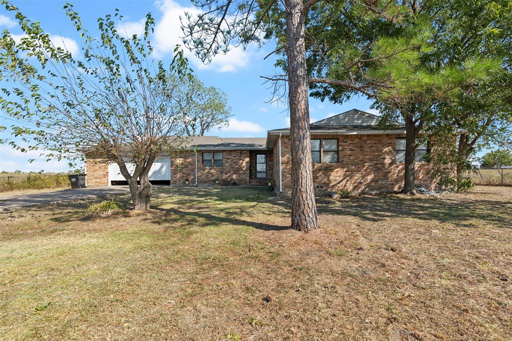 a view of a yard with a tree