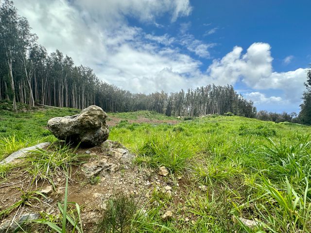 $650,000 | Cane Haul Road | Kapulena