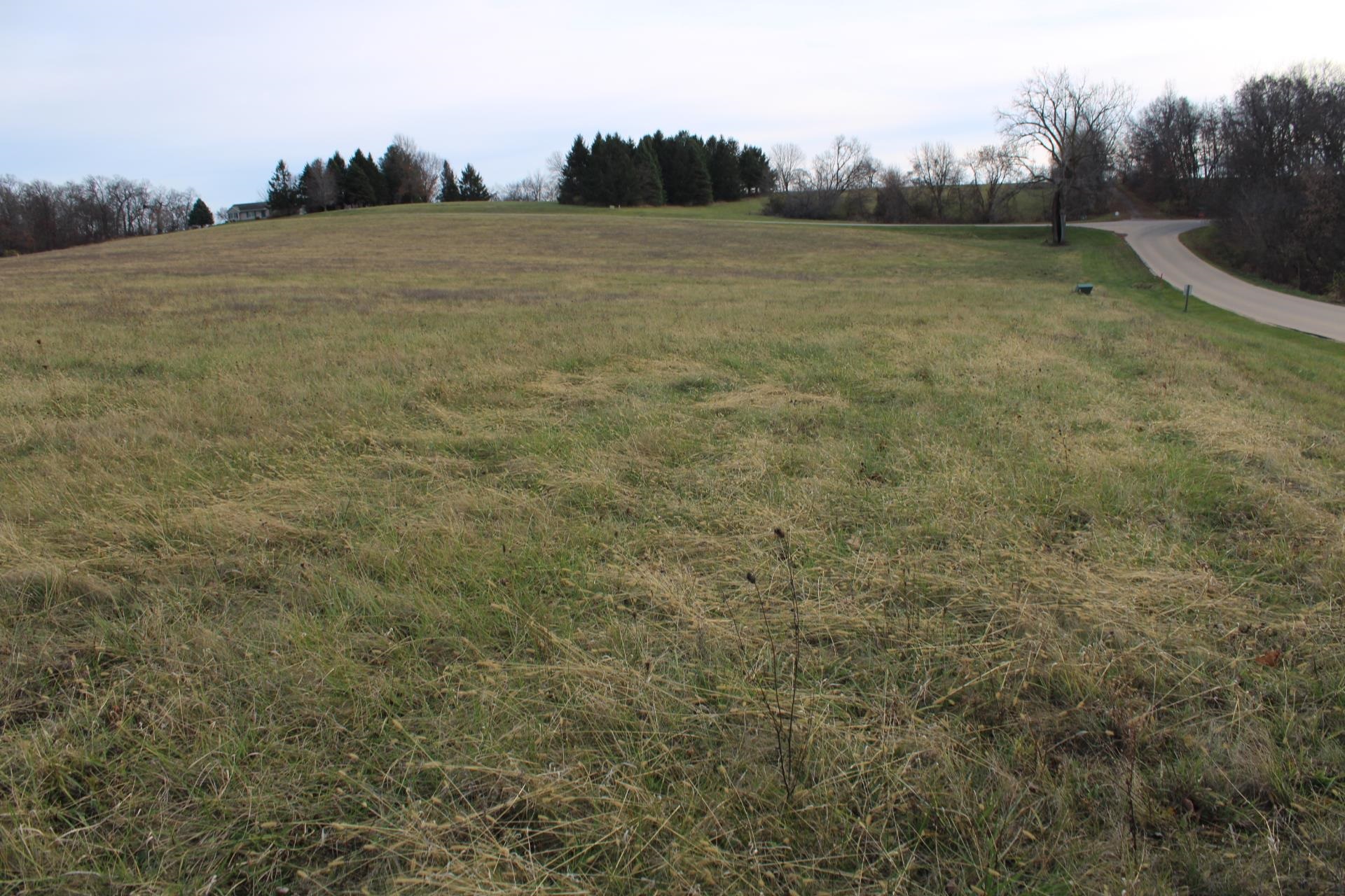 a view of a field with trees in the background