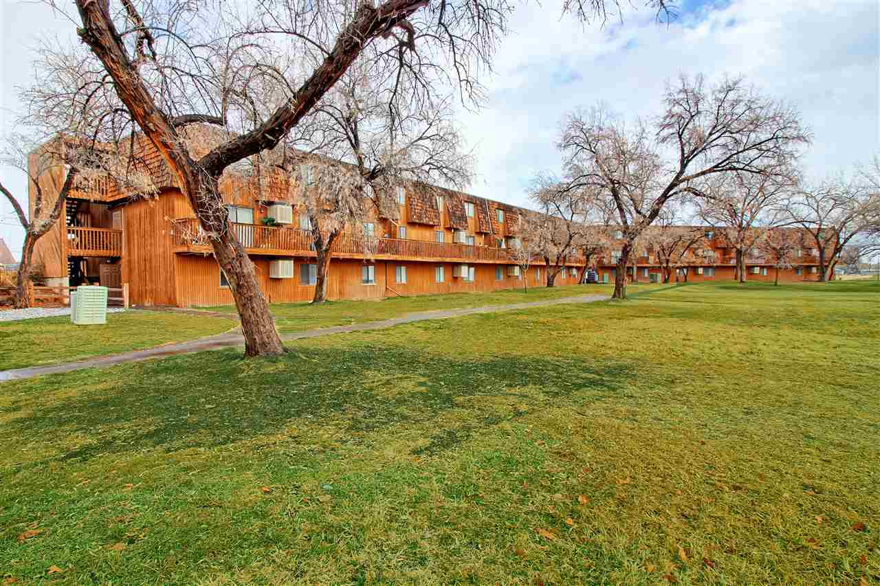 a backyard of a building with trees