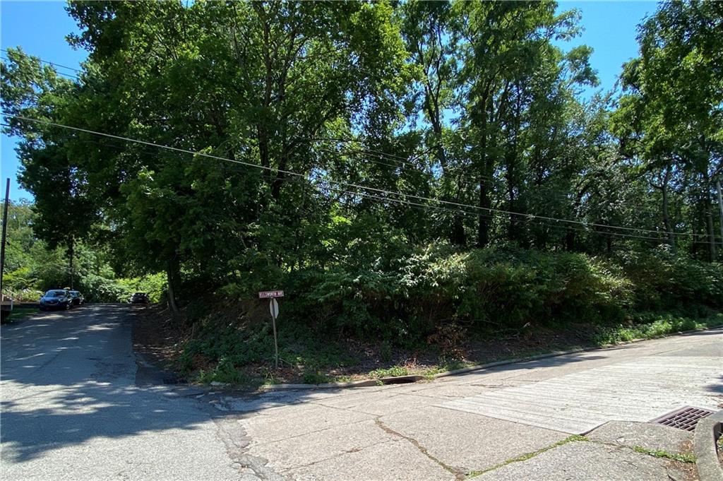 a view of path and green space