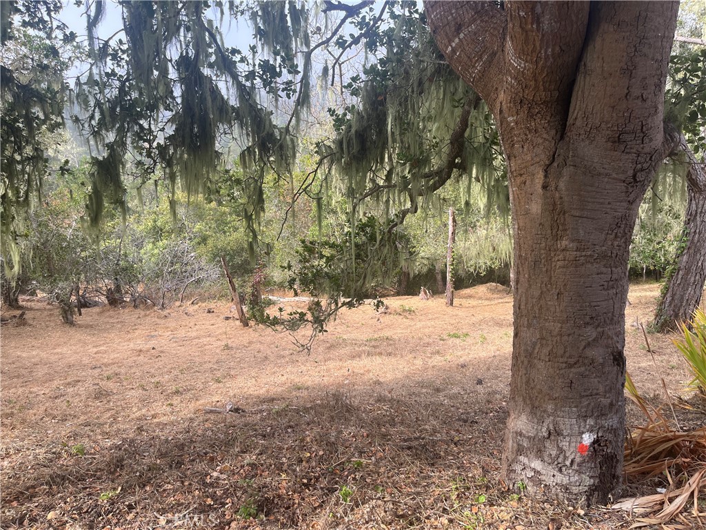 a view of a yard with a tree