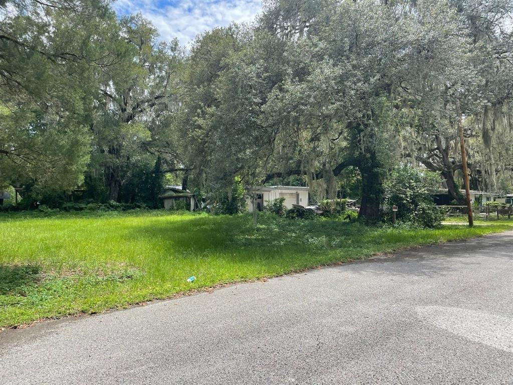 a view of a house with a big yard and large trees