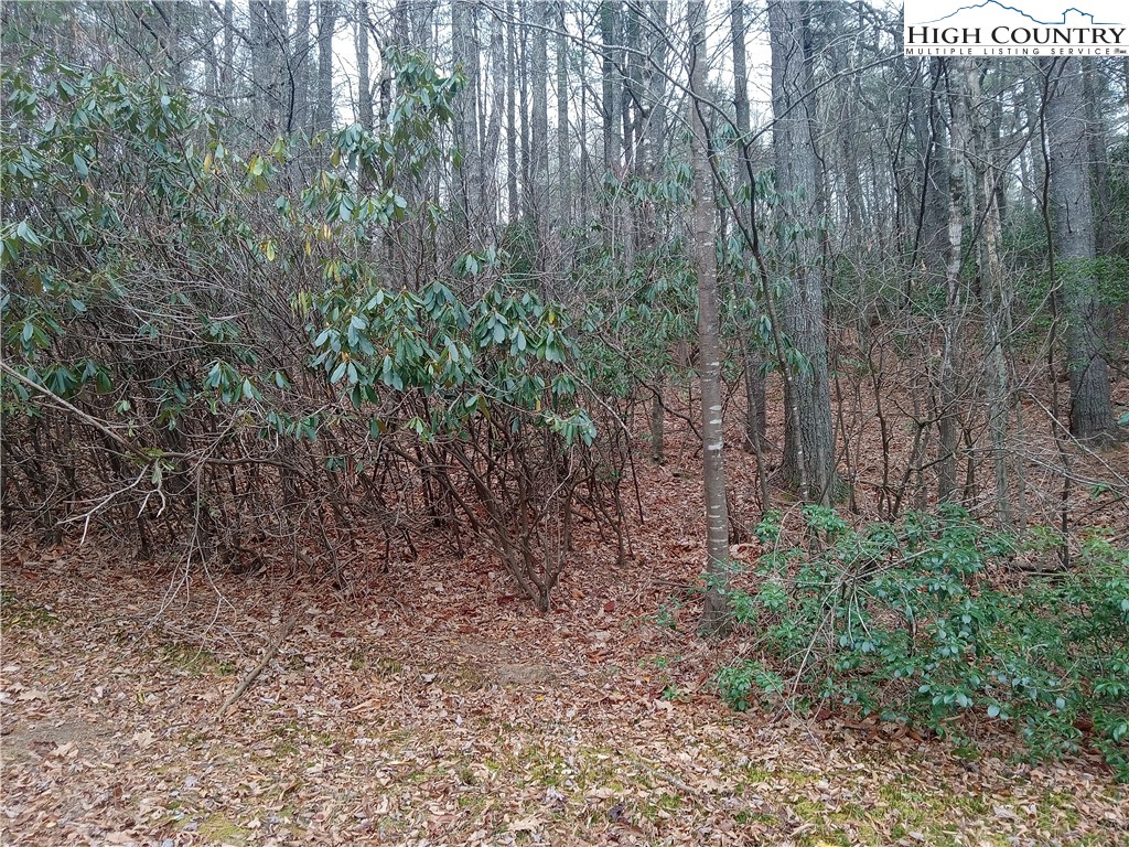 a view of a yard with trees in the background