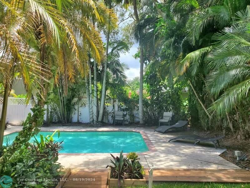 a view of a yard with plants and large trees