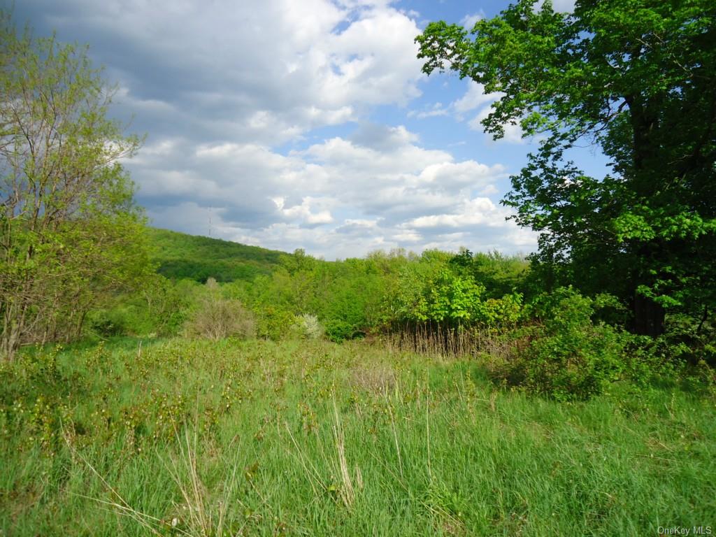 a view of a garden