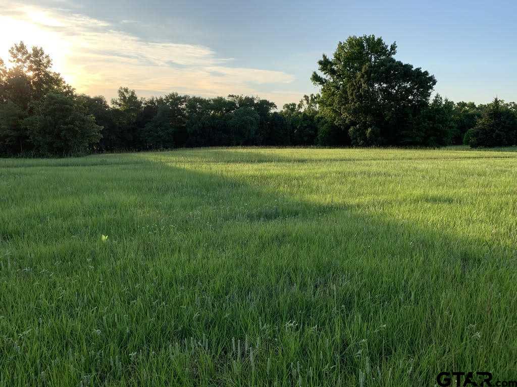 a view of a green field with a tree