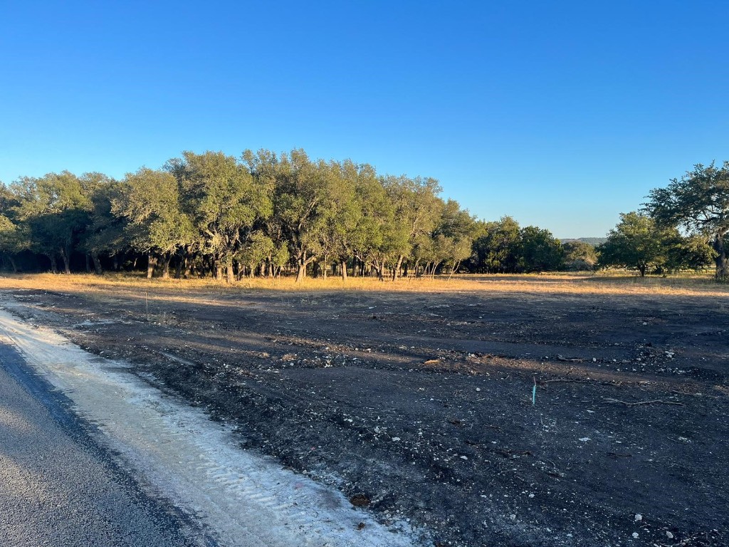 a view of dirt yard with a large tree