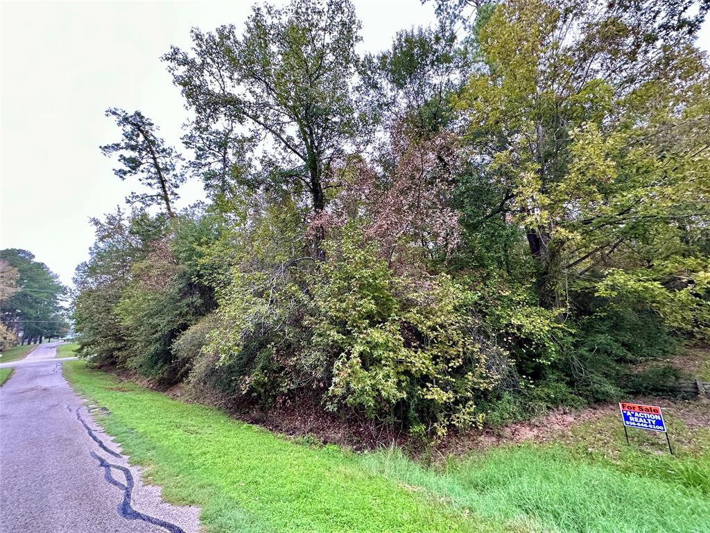 a view of green field with trees