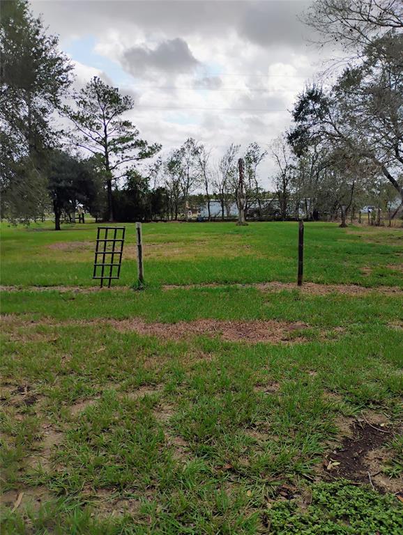 a view of a park with large trees