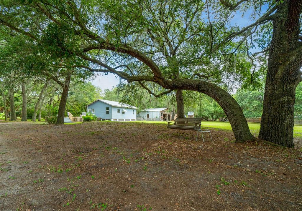 a house with trees in front of it