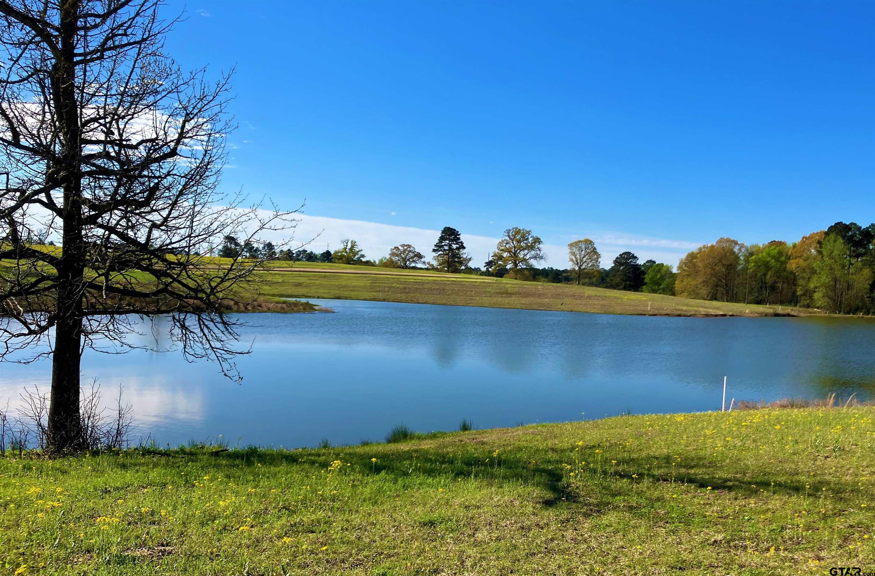 a view of a lake