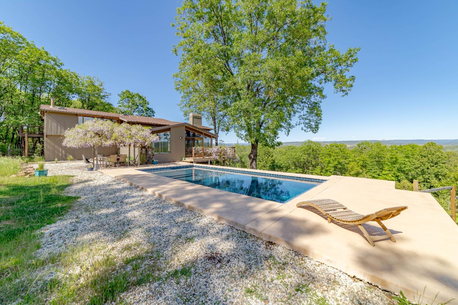 a view of a backyard with a garden and plants