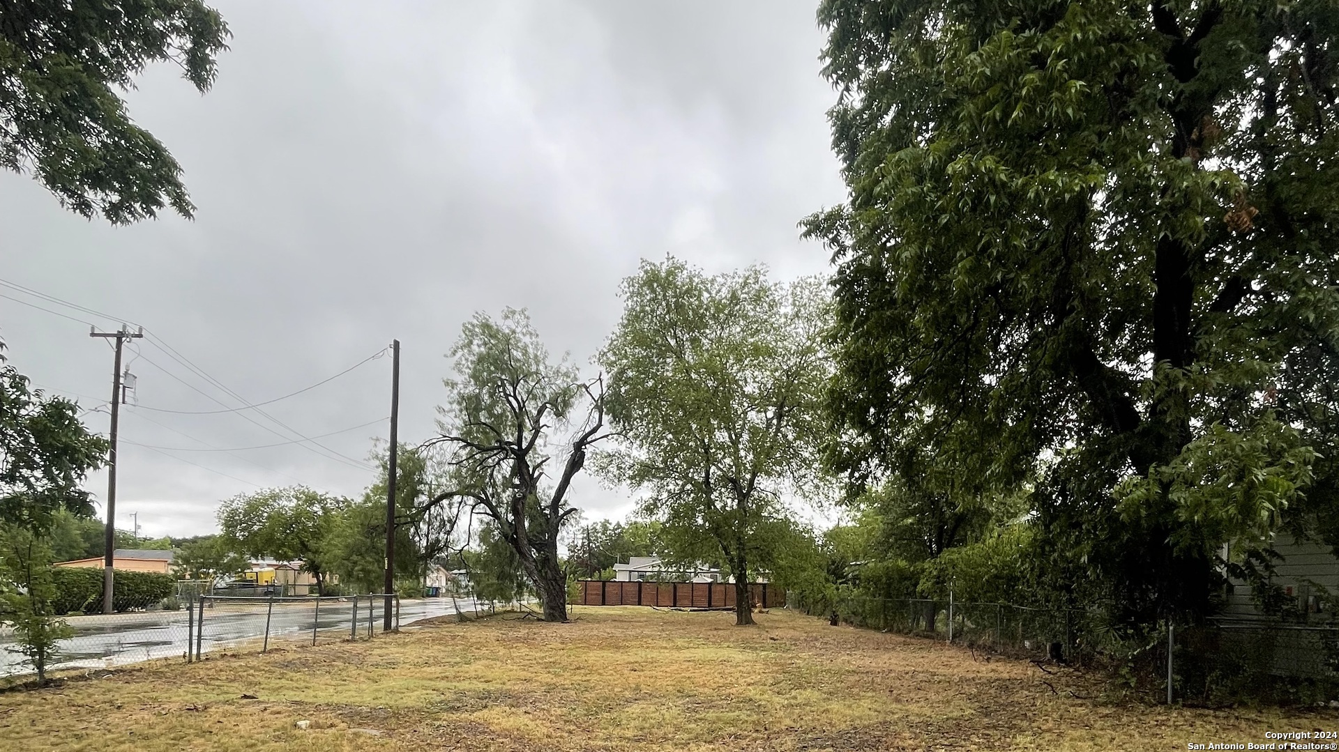 a view of a tree is standing next to a yard