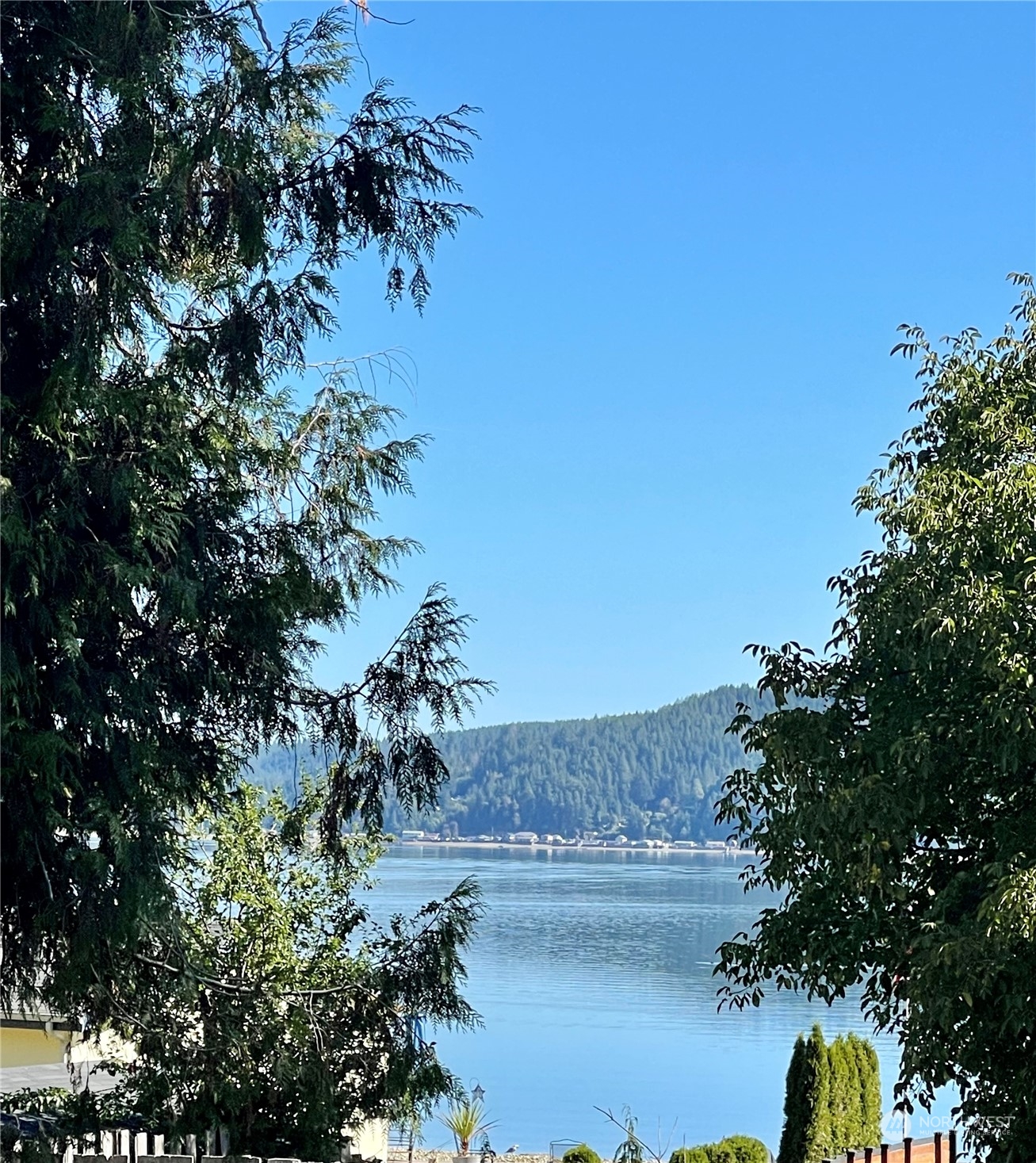 a view of a lake with a tree in the background