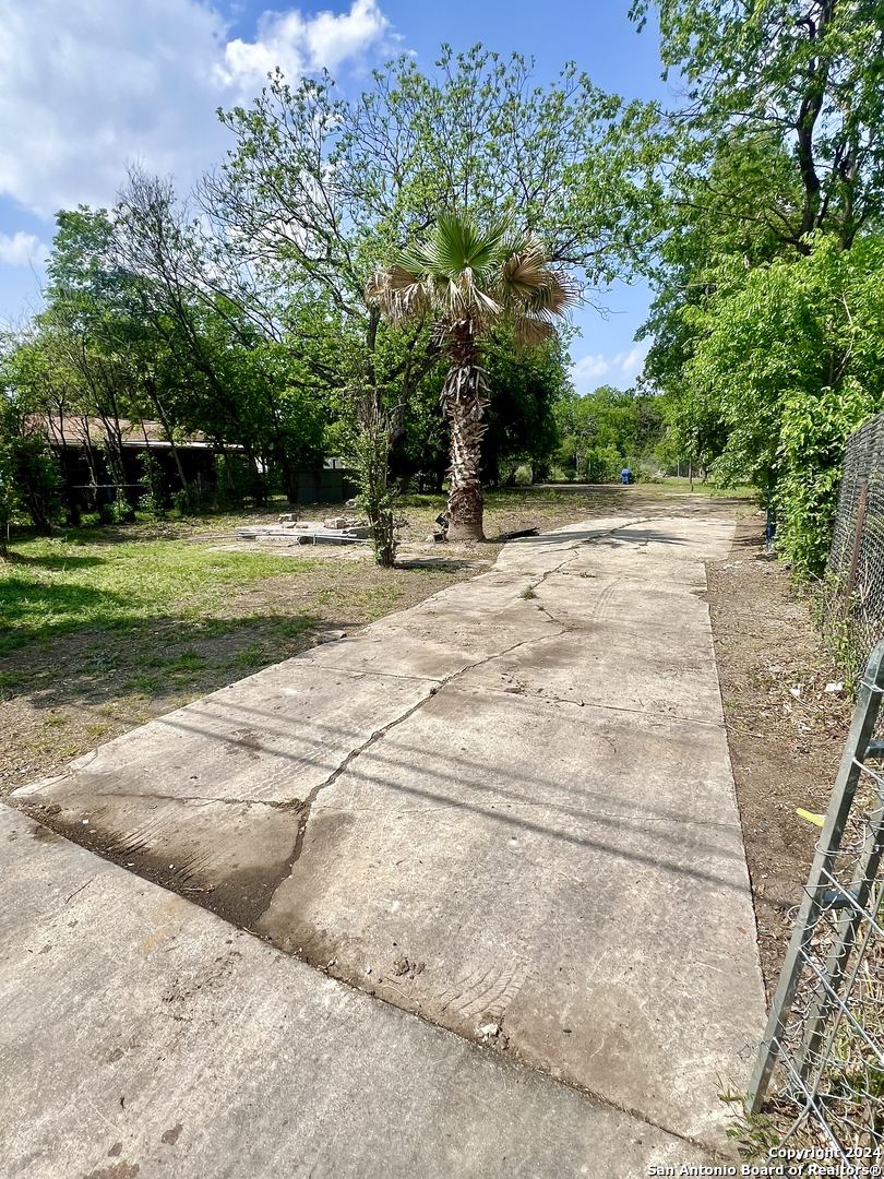 a view of a yard with plants and trees