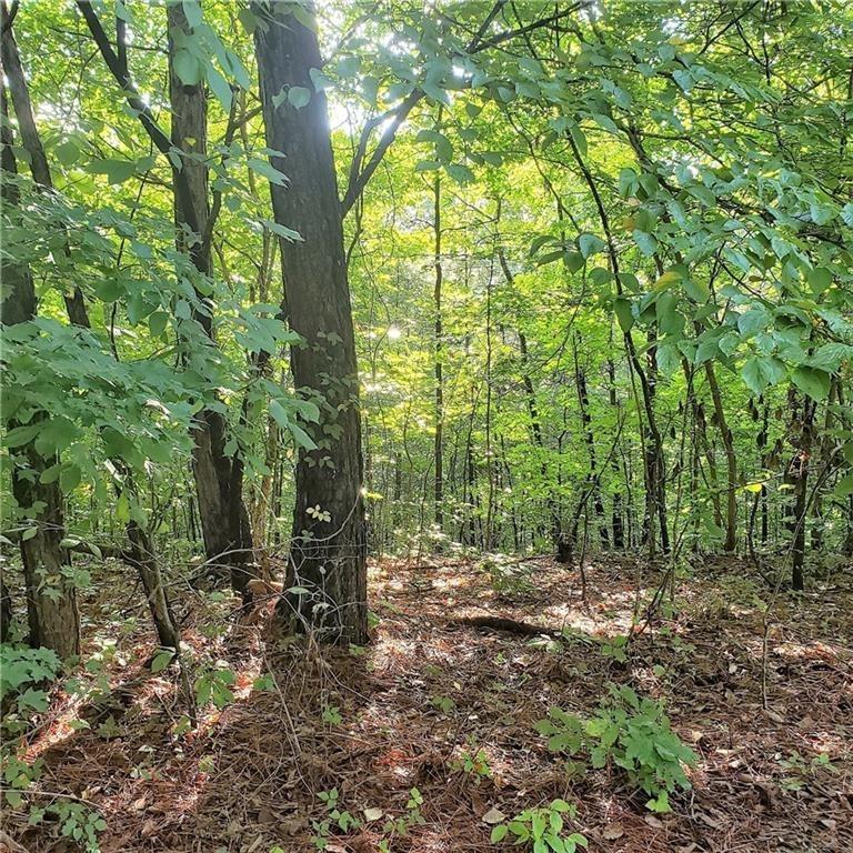 a view of outdoor space and trees