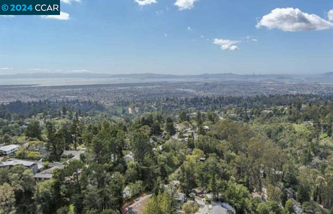 a view of a city with lush green forest