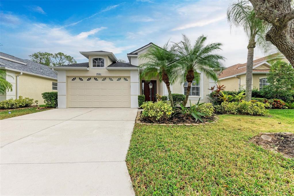 front view of house with a yard and palm trees