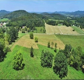 a view of a lush green hillside and houses